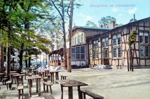 Piła Restauracja - Reprodukcja 13278
