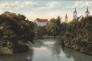 Piła panorama - Reprodukcja 13279