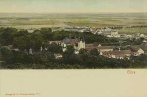 Gdańsk Oliwa -Reprodukcja 13315