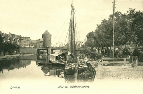 nowe-13343.jpg