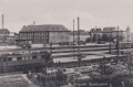 nowe-13469.jpg