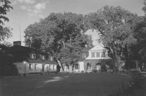 Rogów dwór - Reprodukcja 13485