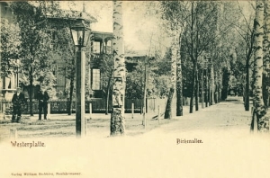 Gdańsk Westerplatte - Reprodukcja 13503
