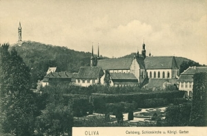 Gdańsk Oliwa - Reprodukcja 13508