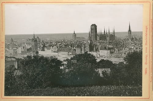 nowe-13549.jpg