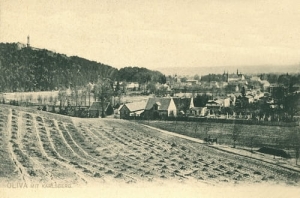 Gdańsk Oliwa - Reprodukcja 13561