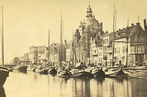 nowe-13589.jpg