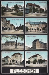 Pleszew widokowa - Reprodukcja 13684