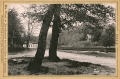 nowe-13789.jpg