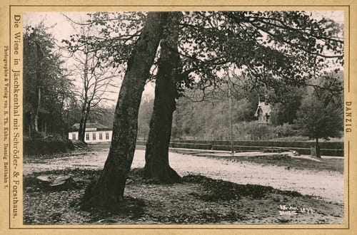 nowe-13789.jpg