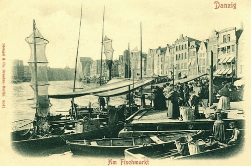 nowe-13810.jpg