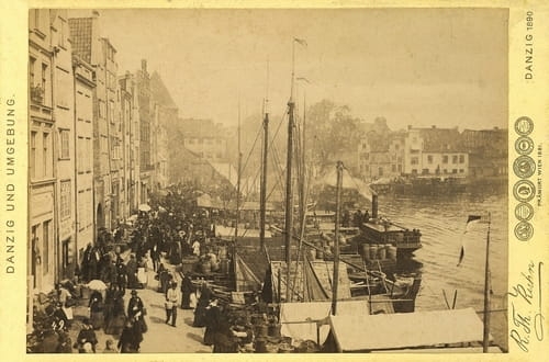 nowe-13814.jpg