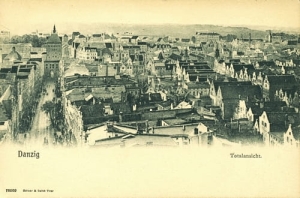 Gdańsk panorama -Reprodukcja 13824