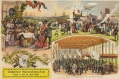 nowe-13915.jpg