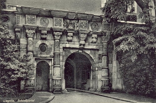 nowe-13925.jpg