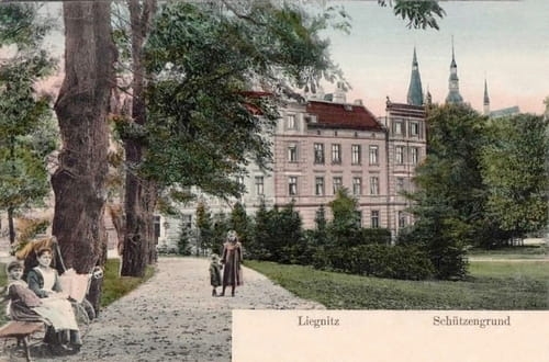 nowe-13932.jpg