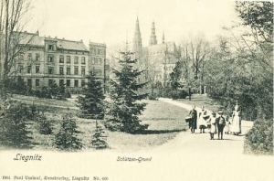 Legnica Schutzengrund -Reprodukcja 13933