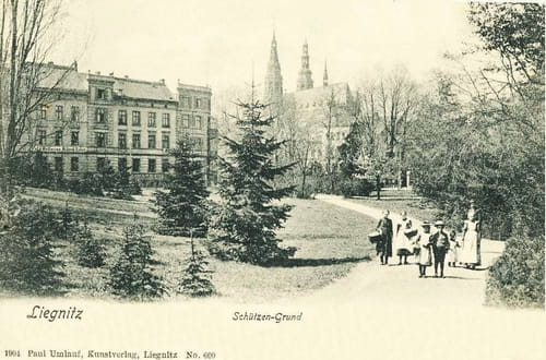 nowe-13933.jpg