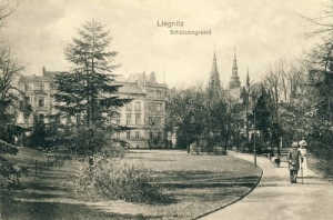 Legnica Schutzengrund -Reprodukcja 13934