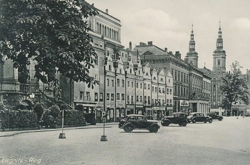 nowe-13964.jpg