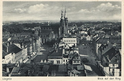 nowe-13966.jpg