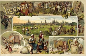 Legnica -Reprodukcja 13970