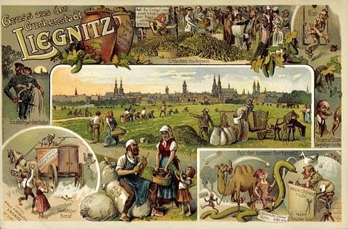 nowe-13970.jpg