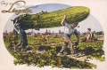 nowe-13971.jpg