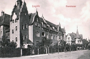 Legnica Dovestrasse -Reprodukcja 13978