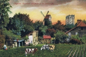 Legnica wiatrak - Reprodukcja 13990