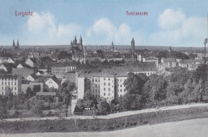 Legnica panorama - Reprodukcja 14006