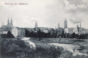 Legnica panorama - Reprodukcja 14009
