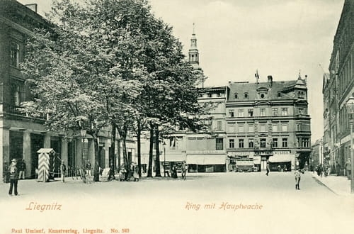 nowe-14056.jpg