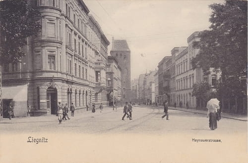 nowe-14081.jpg