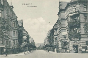 Legnica ul. Strzelecka - Reprodukcja 14085