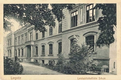 nowe-14096.jpg