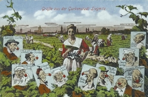 Legnica panorama - Reprodukcja 14098