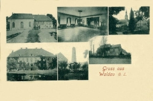 Wykroty widokowa - Reprodukcja 14170