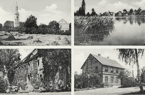 nowe-14195.jpg