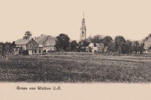 Wykroty panorama - Reprodukcja 14182