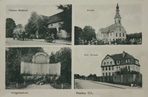 Wykroty widokowa - Reprodukcja 14190