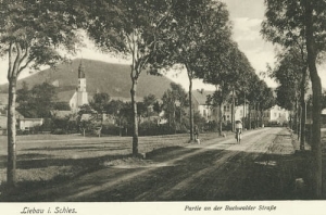 Lubawka Buchwalderstr. - Reprodukcja 14216