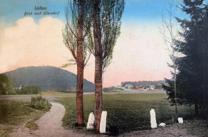 Lubawka Ulanowice - Reprodukcja 14231