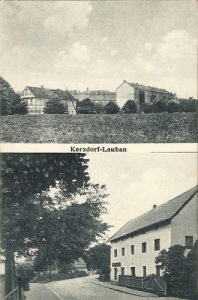 Lubań widokowa - Reprodukcja 14279