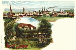 Lubań widokowa - Reprodukcja 14294