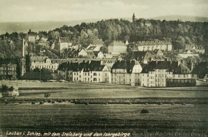 Lubań Steinberg - Reprodukcja 14307