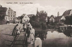 Lubań - Reprodukcja 14321