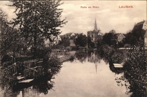 Lubań - Reprodukcja 14324