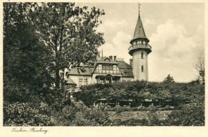 Lubań Steinberg - Reprodukcja 14366