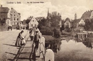 Lubań - Reprodukcja 14382